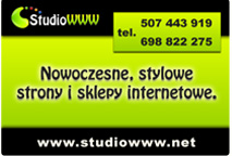 strony internetowe lublin